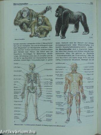 Jugendlexikon Biologie