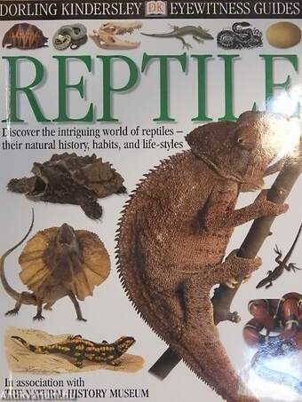 Reptile