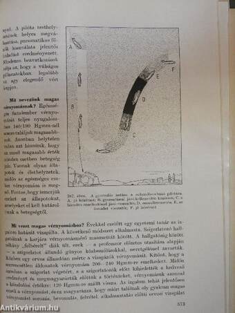 Az emberi test 1. (töredék)