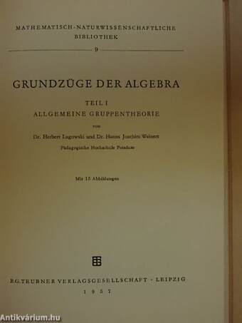 Grundzüge der Algebra I-III.