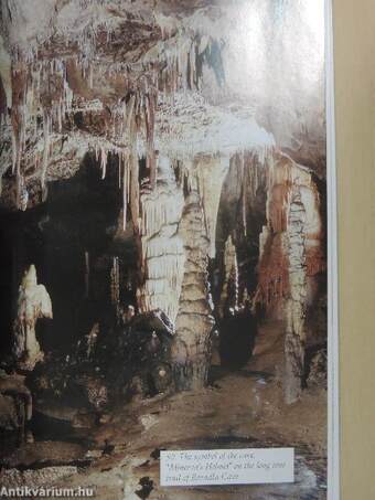 The Caves of the Aggtelek Karst