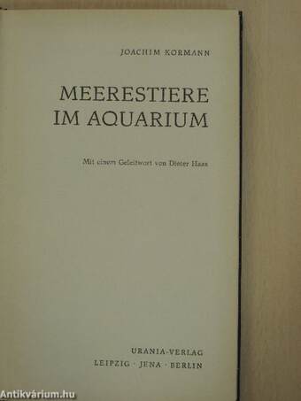 Meerestiere im aquarium