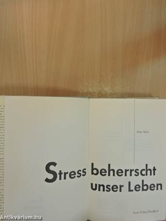 Stress beherrscht unser Leben