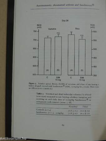 Autoimmunity, Rheumatoid Arthritis and Cyclosporin A