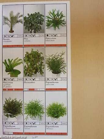 Potplanten/Pot Plants/Topfpflanzen/Plantes en pot/Piante da vaso/Planta en particular 1997/98