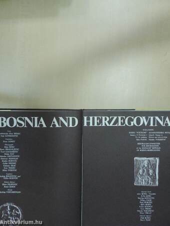 Bosnia and Herzegovina