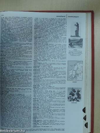 The Heritage Illustrated Dictionary of the English Language