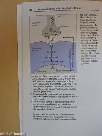 Bipolar Affective Disorder