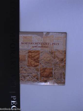 Kortárs művészet - Pécs - 2 db DVD-vel