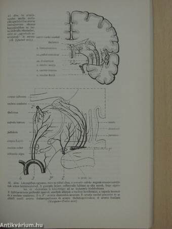 Az orvostudomány aktuális problémái 1969/3.