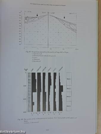 Loess and Upper Paleolithic environment in Hungary