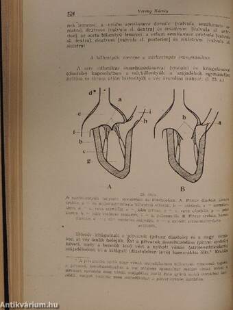 Rendszeres bonctan II. (töredék)