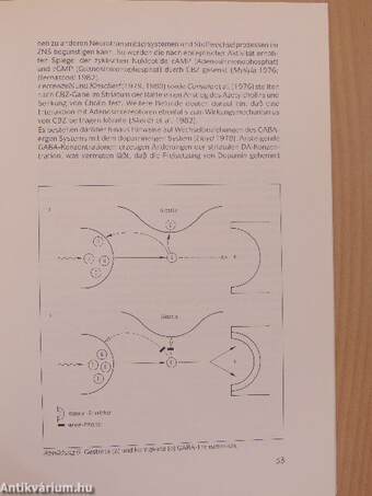 Carbamazepin bei affektiven Psychosen