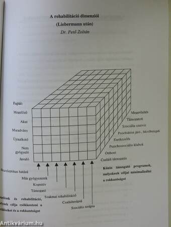 Vázlatok a pszichiátriai rehabilitáció gyakorlatából