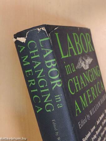 Labor in a changing America