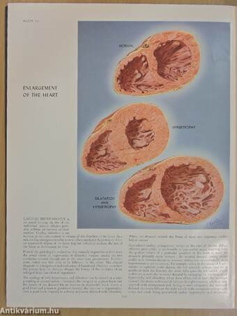 The CIBA Collection of Medical Illustrations