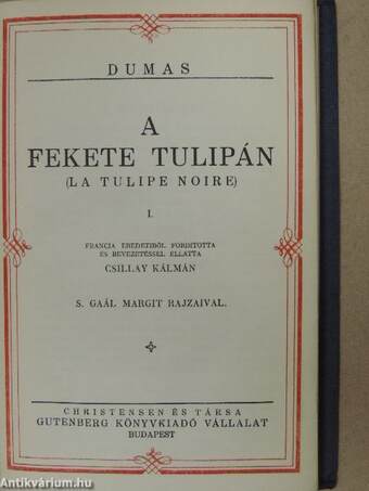 "21 kötet a Dumas művei sorozatból (nem teljes sorozat)"