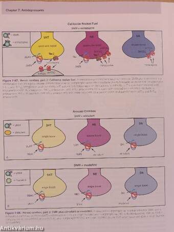 Mood Disorders and Antidepressants