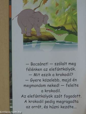 Az elefántkölyök