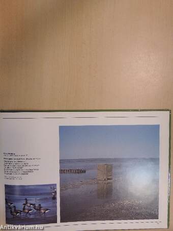 Naturfotografie 86-87