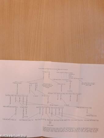 Maderspach Károlyné tragédiája és adatok Ruszkabánya történetéhez