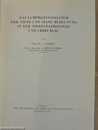 Das Lymphgefässsystem der Niere und seine Bedeutung in der Nierenpathologie und Chirurgie