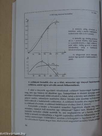 Közgazdaságtan I.