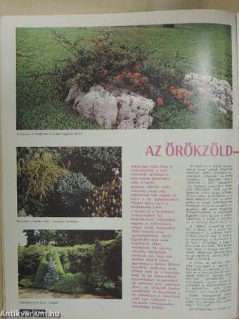 Kertbarát Magazin 1977. május