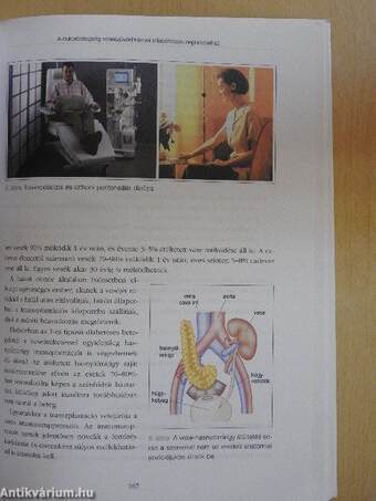 Felnőttoktatás a diabéteszben