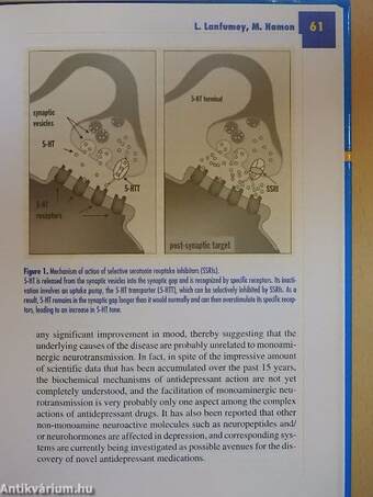 A new pharmacological approach to the treatment of major depression