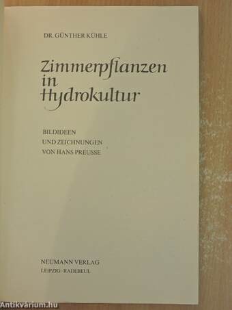 Zimmerpflanzen in Hydrokultur