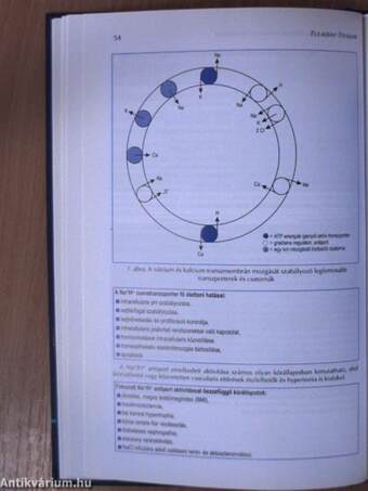 Hypertonia a gyermekkorban