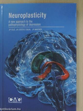 Neuroplasticity