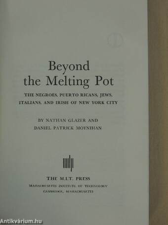 Beyond the Melting Pot