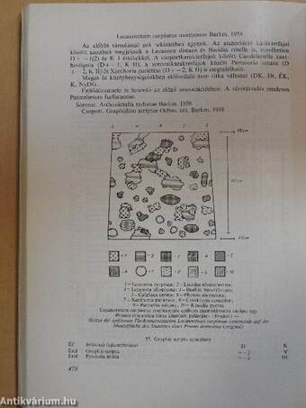 A Móra Ferenc Múzeum Évkönyve 1976/77-1.