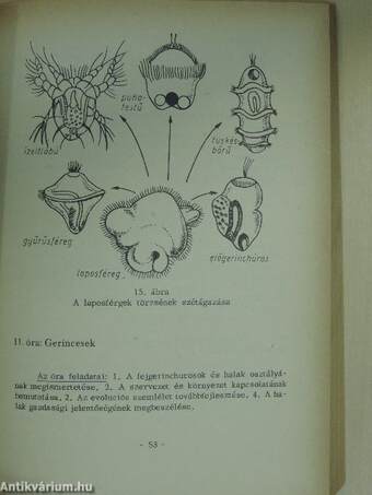 Tanári kézikönyv a biológia tanításához a gimnáziumok II-III. osztályában