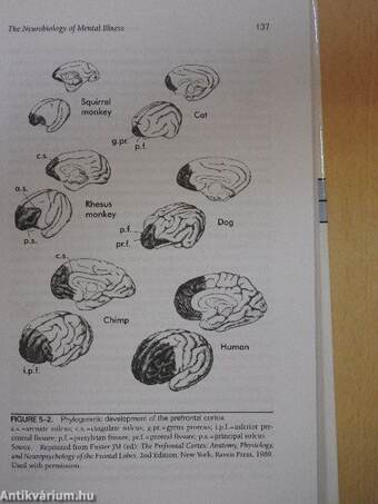 Introductory Textbook of Psychiatry