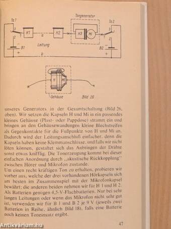 Das kleine Elektrobastelbuch