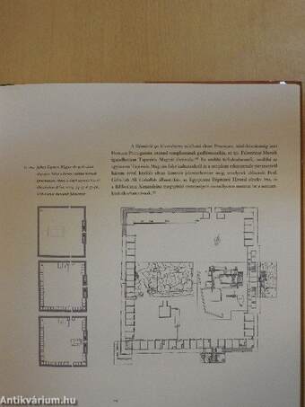 Egyiptom templomépítészete az egyiptomi magyar ásatások fényében 1907-2007