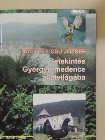 Betekintés Gyergyó-medence állatvilágába