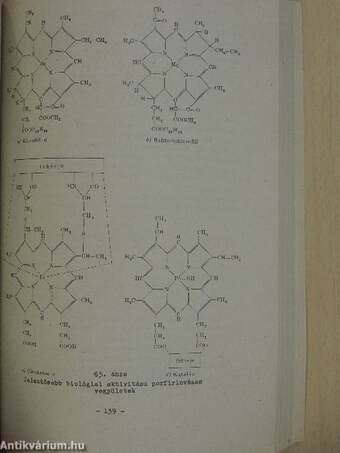 Mikrobiológia I.