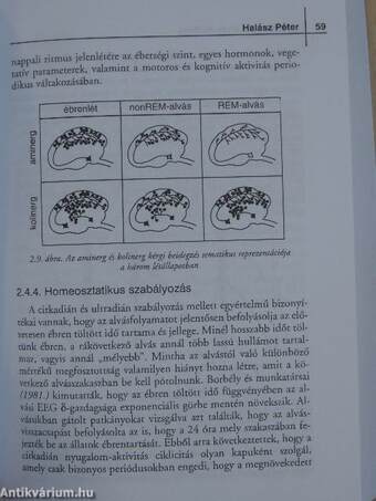 Az alvás- és ébrenléti zavarok diagnosztikája és terápiája