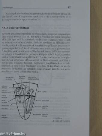 Nephrologia