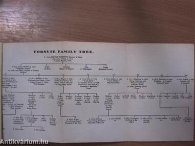 The Forsyte Saga I-III.