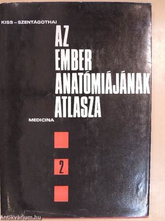 Az ember anatómiájának atlasza II. (töredék)