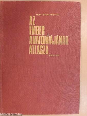 Az ember anatómiájának atlasza II. (töredék)