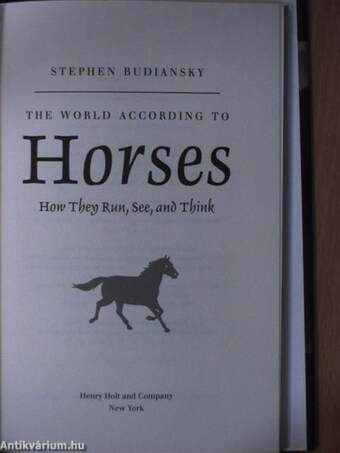 The World According to Horses