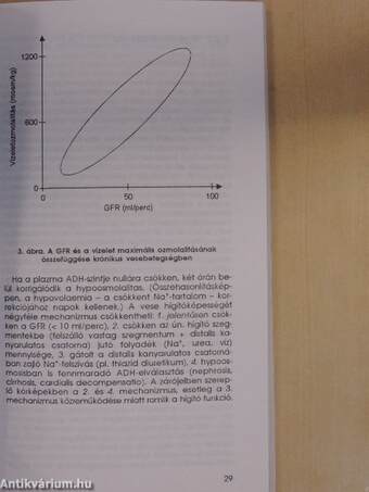 Anyagcsere- és ásványi anyagcsere betegségek a gyakrolatban