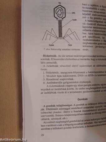 Általános járványtani és közegészségtani alapismeretek