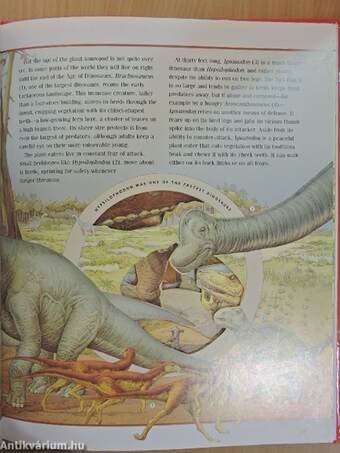 The Incredible Journey through the World of the Dinosaurs